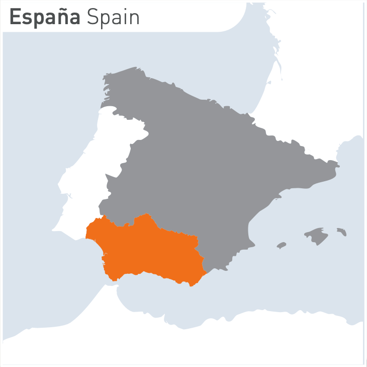 The Costa del Sol is an internationally renowned tourist destination. It boasts an excellent climate, magnificent beaches, and offers a unique experience.