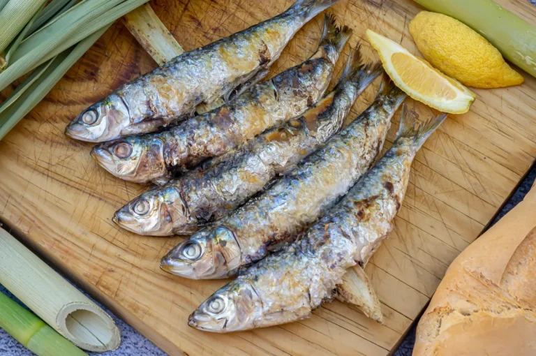 Gastronomic Experience in Málaga, Costa del Sol