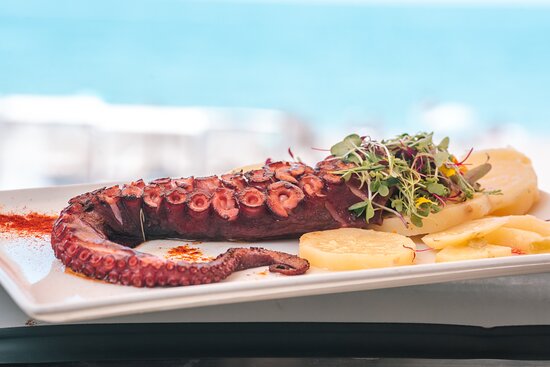Gastronomic Experience in Málaga, Costa del Sol